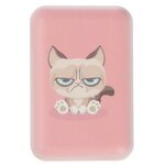 Внешний аккумулятор Ritmix Power Bank RPB-10007 10000mAh Grumpy Cat - изображение