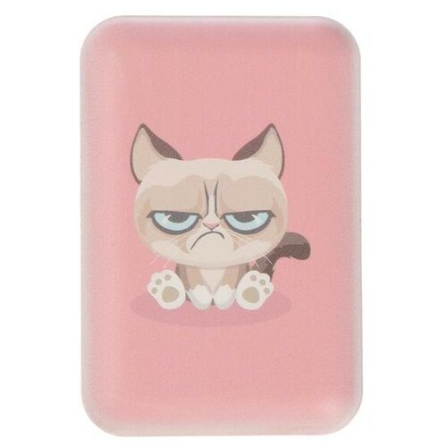 882143 Внешний аккумулятор Ritmix Power Bank RPB-10007 10000mAh Grumpy Cat