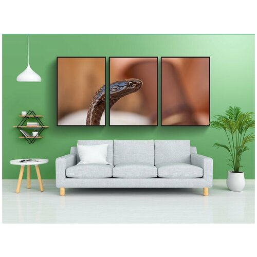 фото Набор модулных постеров для интерьера "линия, заклинатели, кобра" 60x90 см. в тубусе, без рамки lotsprints