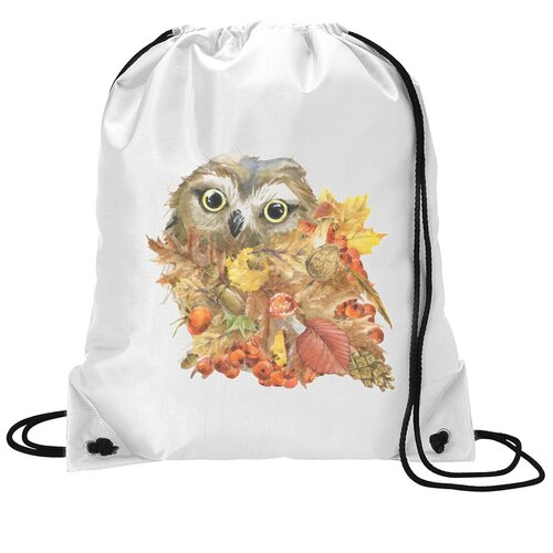 фото Сумка для обуви coolpodarok осень. совушка