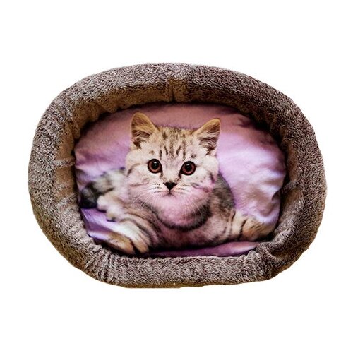 Лежак для кошек PerseiLine Rich Breed Дизайн № 5 принт 13 овальный 55 х 47 х 16 см (1 шт)