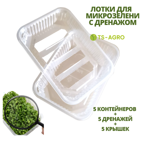 Набор контейнеров для выращивания микрозелени и рассады. 750 мл. 5 шт. Контейнер + Дренаж + Крышка
