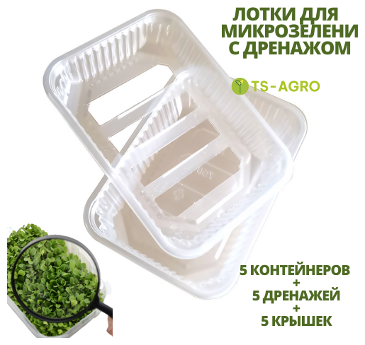 Набор контейнеров для выращивания микрозелени и рассады. 750 мл. 5 шт. Контейнер + Дренаж + Крышка - фотография № 1