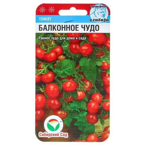 Томат Балконное чудо 2 пакета по 20шт семян