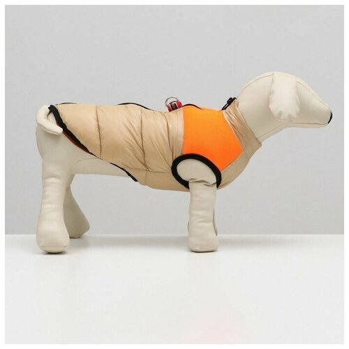 Одежда для животных. Куртка для собак на молнии, размер 14, бежевая с оранжевым, 1 шт.
