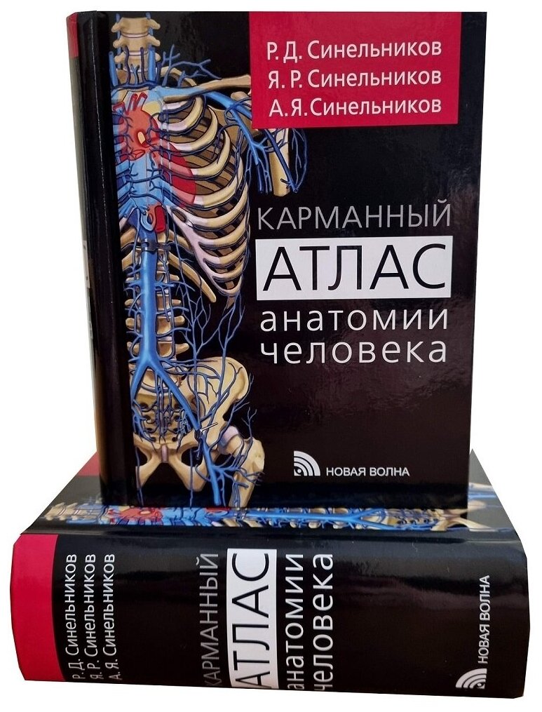 Карманный атлас анатомии человека - фото №2