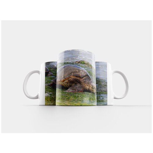 фото Кружка "счеты, бисер, математика" 320 мл lotsprints