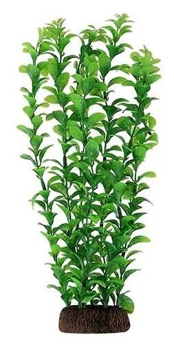 5576P Растение пласт 55см зелёное Людвигия 4