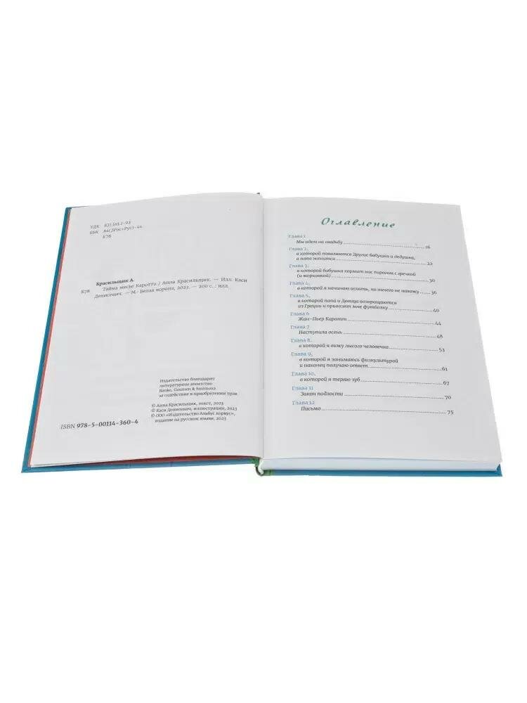 Тайна месье Каротта (Красильщик Анна) - фото №4