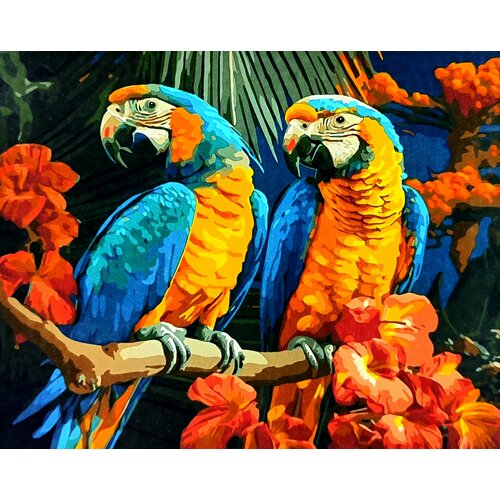 Картина по номерам 40x50 Орел сокол, птицы, попугай, какаду, ара, тропики, джунгли
