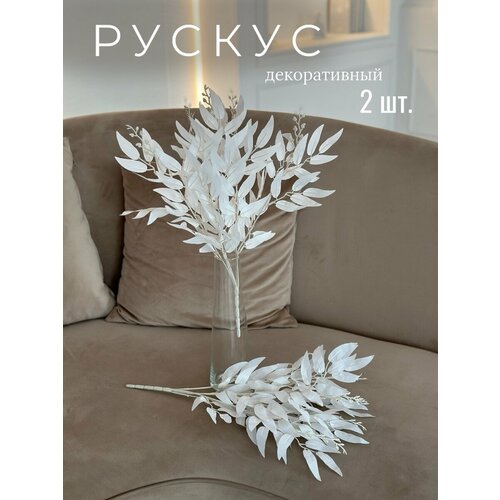 Зелень рускус белый, декоративная/искусственная 2 шт.