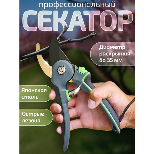 золотистый, бежевый, бесцветный, серебристый, черный, белый, зеленый, серый, голубой, желтый