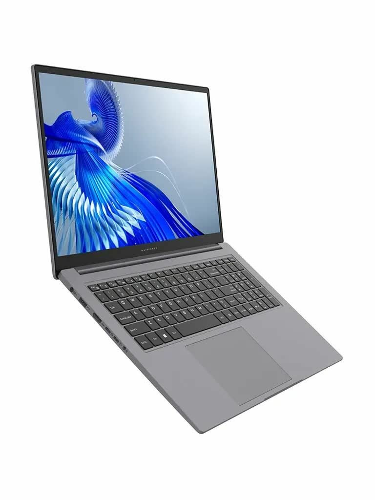 Ноутбук MAIBENBEN P725, 17.3"/Intel Core i5-12450H/16 ГБ DDR4/512 ГБ SSD/W11 Pro, Серый (P7251SF0LGRE0_Win11P)