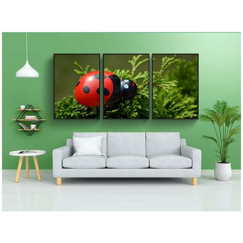 фото Набор модулных постеров для интерьера "божья коровка, пунктирный, жук" 60x90 см. в тубусе, без рамки lotsprints