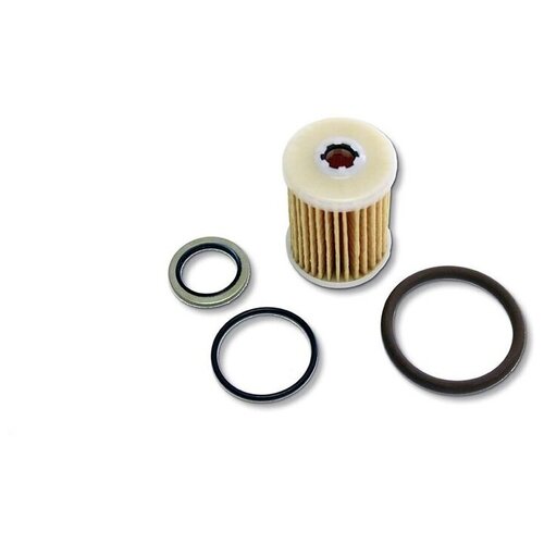 Фильтр газа с уплотнителями для редуктора OMVL HP (пропан)