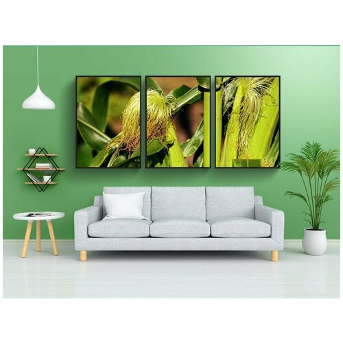 фото Набор модулных постеров для интерьера "кукуруза, овощ, завод" 60x90 см. в тубусе, без рамки lotsprints