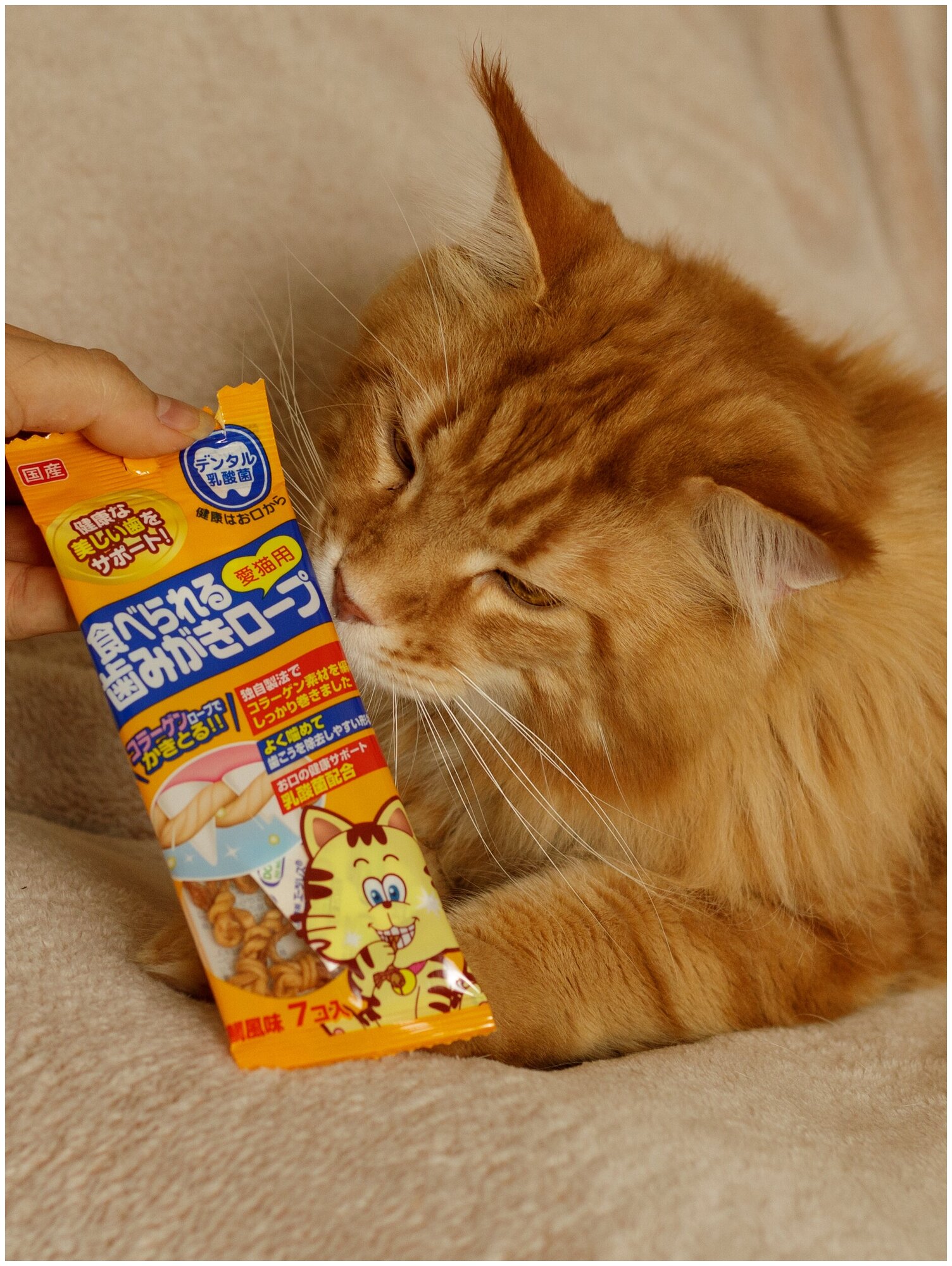 Лакомство для кошек Japan Premium Pet веревки для уничтожения запаха из пасти с коллагеном - фотография № 2