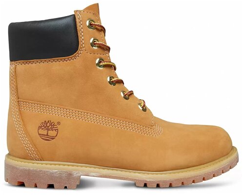 Ботинки  Timberland, зимние,натуральная кожа, водонепроницаемые, высокие, размер 36 EU, желтый