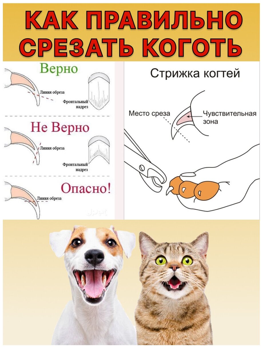 Когтерезка для собак мелких и средних пород. Для кошек. Кусачки для когтей. Ножницы для груминга. Длина 12 см - размер М. - фотография № 4