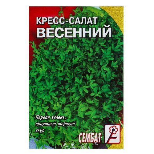 Семена Кресс-салат Весенний, 1 г 6 шт семена кресс салат весенний 1 г 6 упак