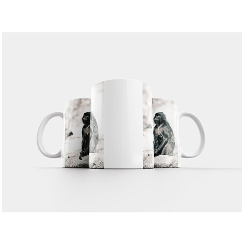 фото Кружка "обезьяна, зоопарк, дикая природа" 320 мл lotsprints