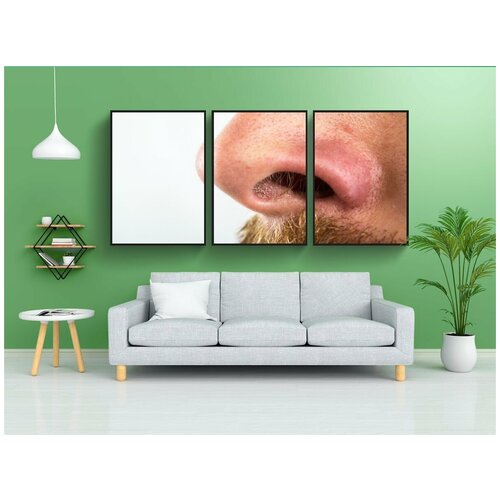фото Набор модулных постеров для интерьера "нос, ноздри, волос в носу" 60x90 см. в тубусе, без рамки lotsprints