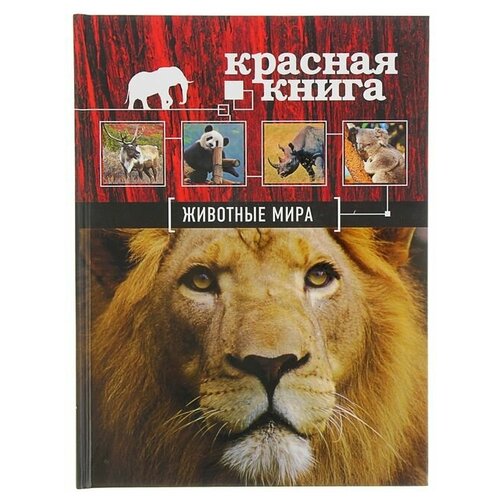 Красная книга «Животные мира». Скалдина О. В, Слиж Е. А. скалдина о слиж е большая красная книга стерео варио