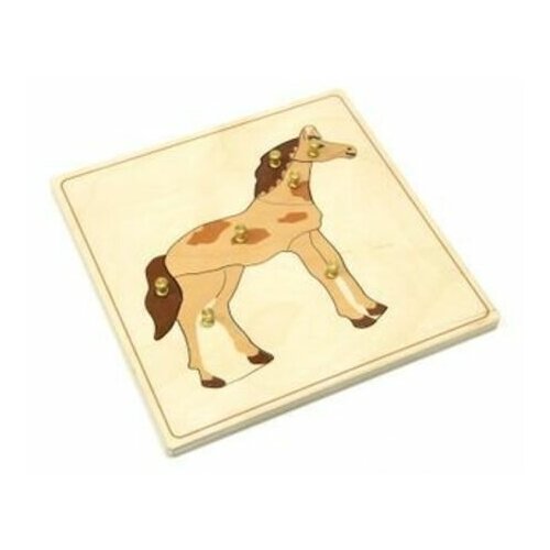 Строение лошади пазл