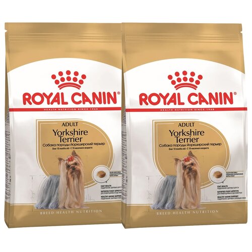 Сухой корм для собак Royal Canin породы Йоркширский терьер, для здоровья кожи и шерсти 1 уп. х 2 шт. х 7.5 кг пушистое счастье подвес для собаки и браслет на руку йоркширский терьер
