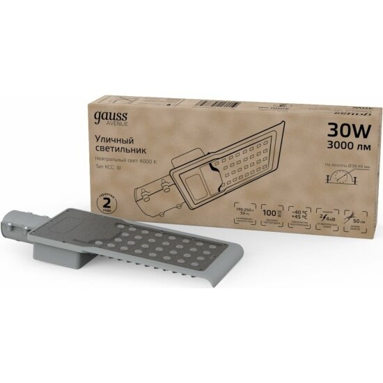 Уличный светильник Gauss LED Avenue IP65 316*130*57 30W 3000lm 4000K 190-250V КСС 
