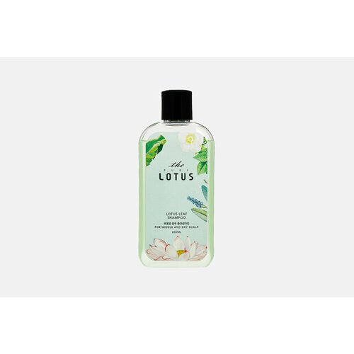 Шампунь для чувствительной и сухой кожи головы Lotus Leaf Shampoo for Middle & Dry scalp