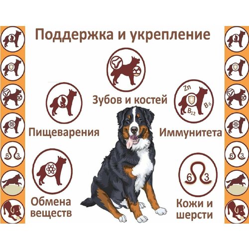 Сухой корм для щенков крупных пород, полнорационный Дилли, 3,7 кг