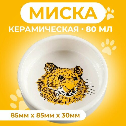 Миска керамическая для грызунов Сытая мордочка 80 мл 8,5 х 3 см