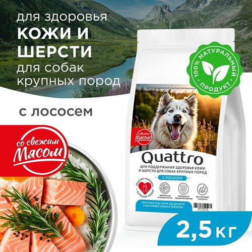 Quattro корм для взрослых собак крупных пород, здоровье кожи и шерсти, с лососем 2,5 кг