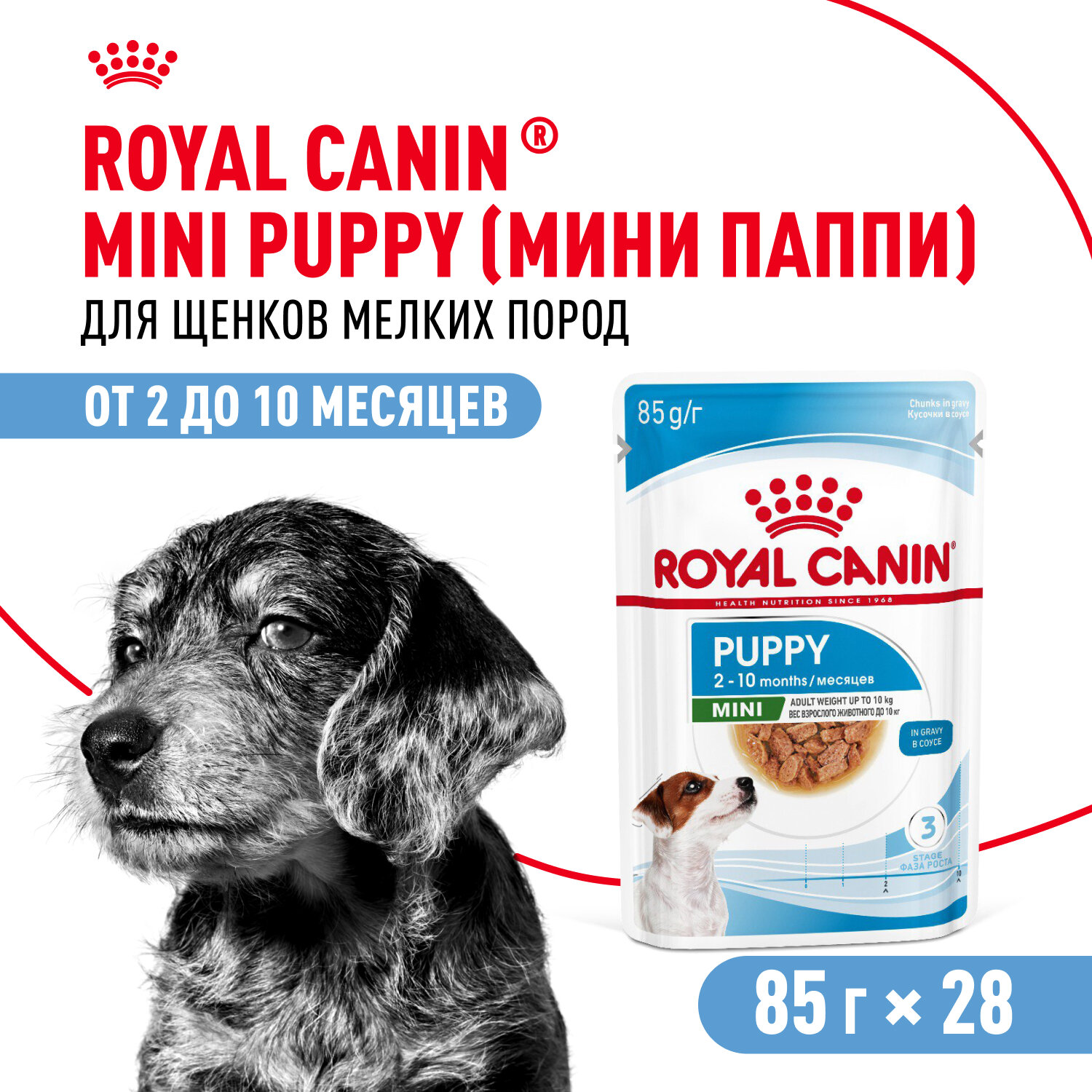 Royal Canin Mini Puppy пауч для щенков мелких пород (соус) (Мясо, 85 г.) - фото №1