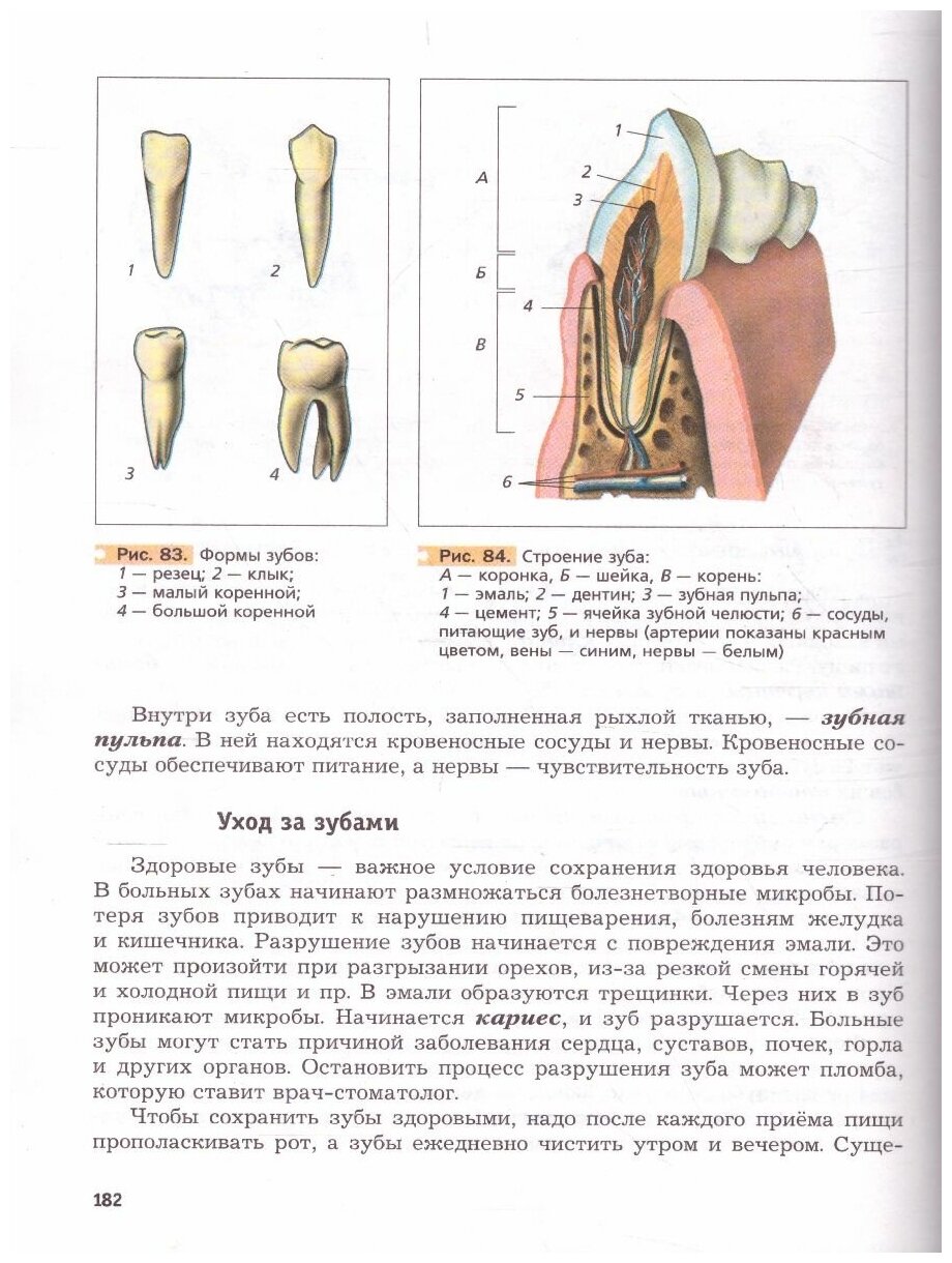 Биология. 8 класс. Учебник. (Драгомилов Александр Григорьевич, Маш Реми Давидович) - фото №2