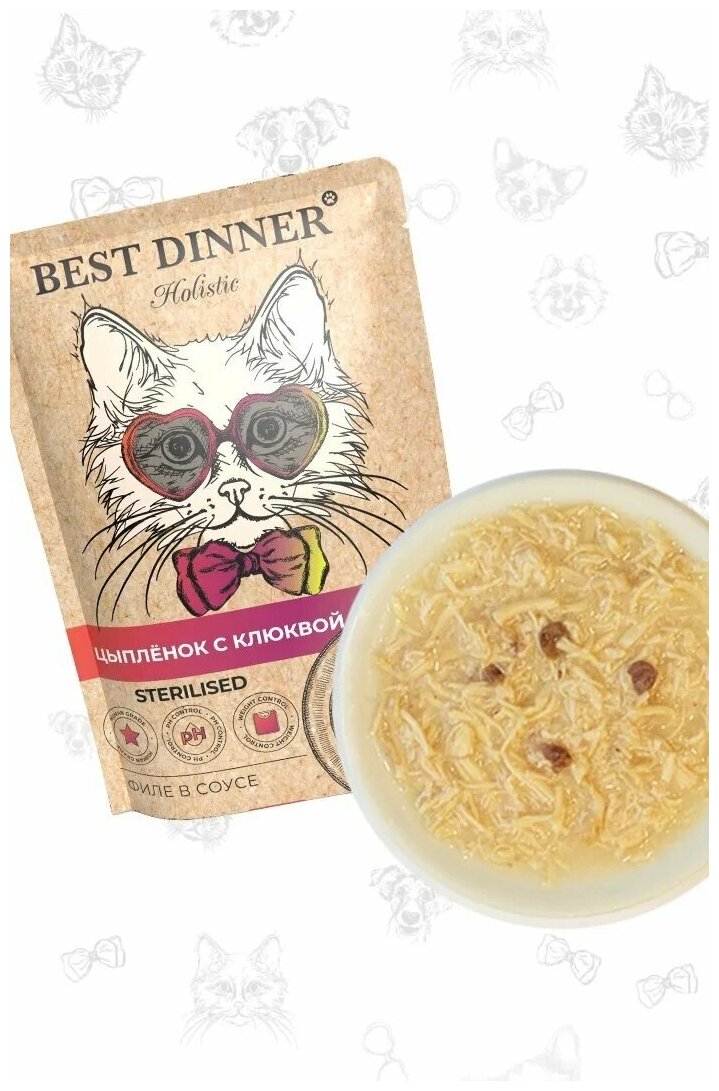 Паучи Best Dinner Holistic Бест Диннер Цыпленок с клюквой для кастрированных и стерилизованных кошек филе в соусе, 18шт по 70г - фотография № 4