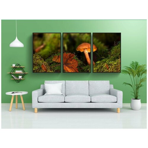фото Набор модулных постеров для интерьера "гриб, лес, падение" 60x90 см. в тубусе, без рамки lotsprints