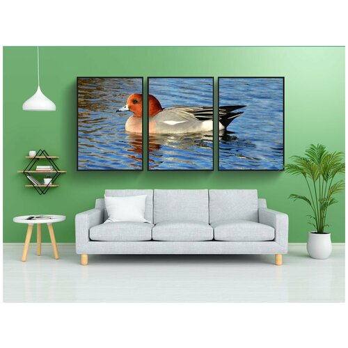 фото Набор модулных постеров для интерьера "свиязь, водоплавающая птица, животное" 60x90 см. в тубусе, без рамки lotsprints