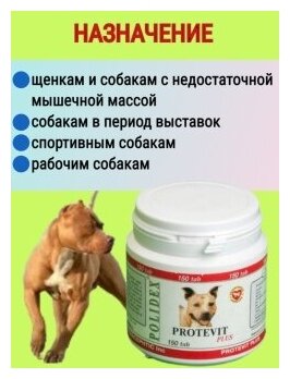 Polidex Protevit plus , 150 таб.