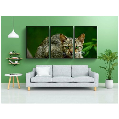 фото Набор модулных постеров для интерьера "природа, животное, млекопитающее" 60x90 см. в тубусе, без рамки lotsprints