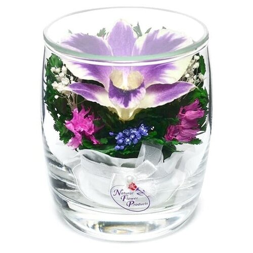 Natural Flower Products Co. Орхидея в стекле SMO2 (8.5 см)