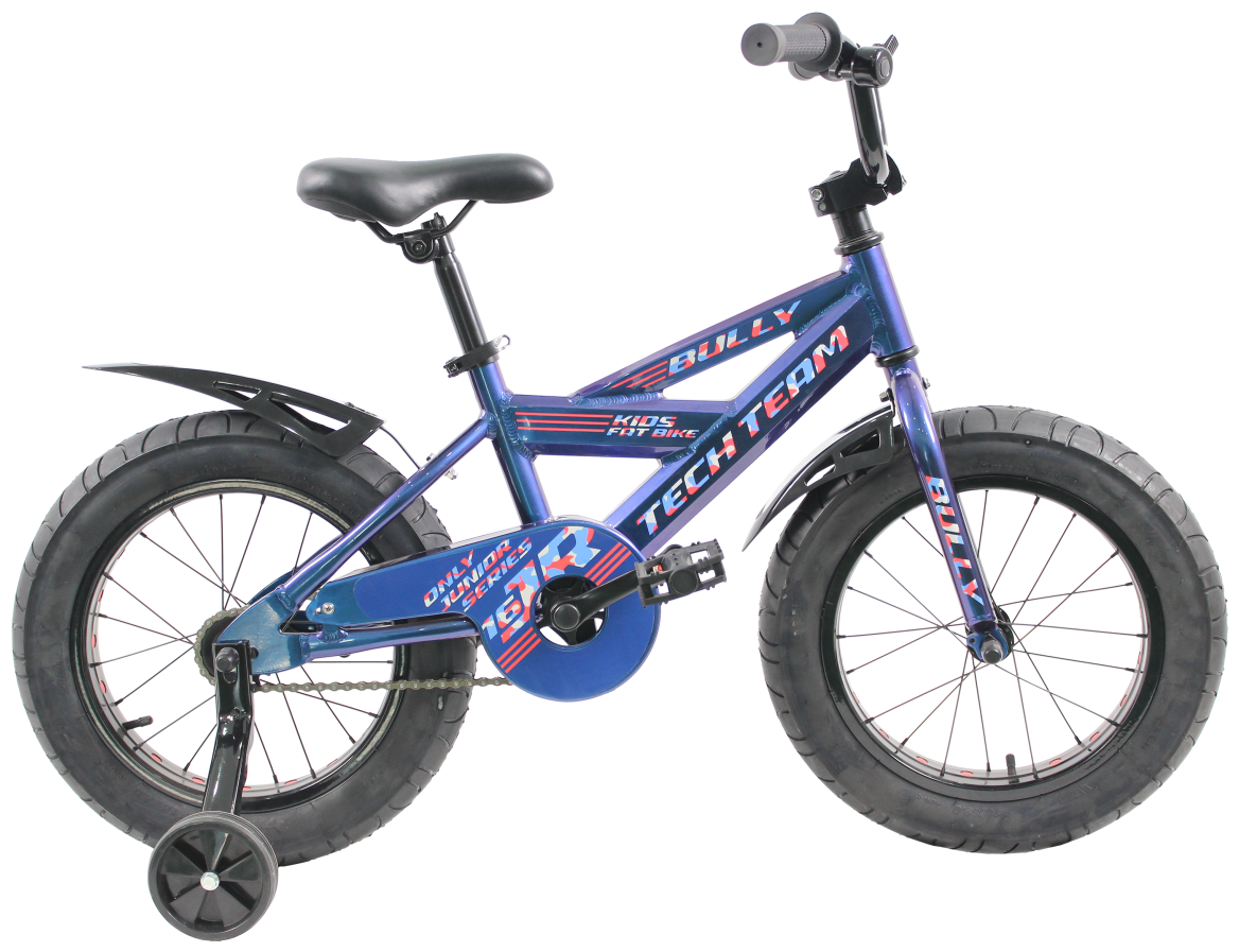 Детский велосипед TechTeam Bully 18" Fat Bike, синий