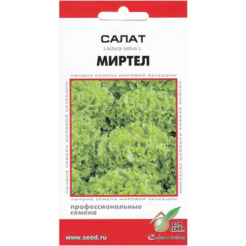 Салат Миртел, 20 семян салат афицион рз 20 семян