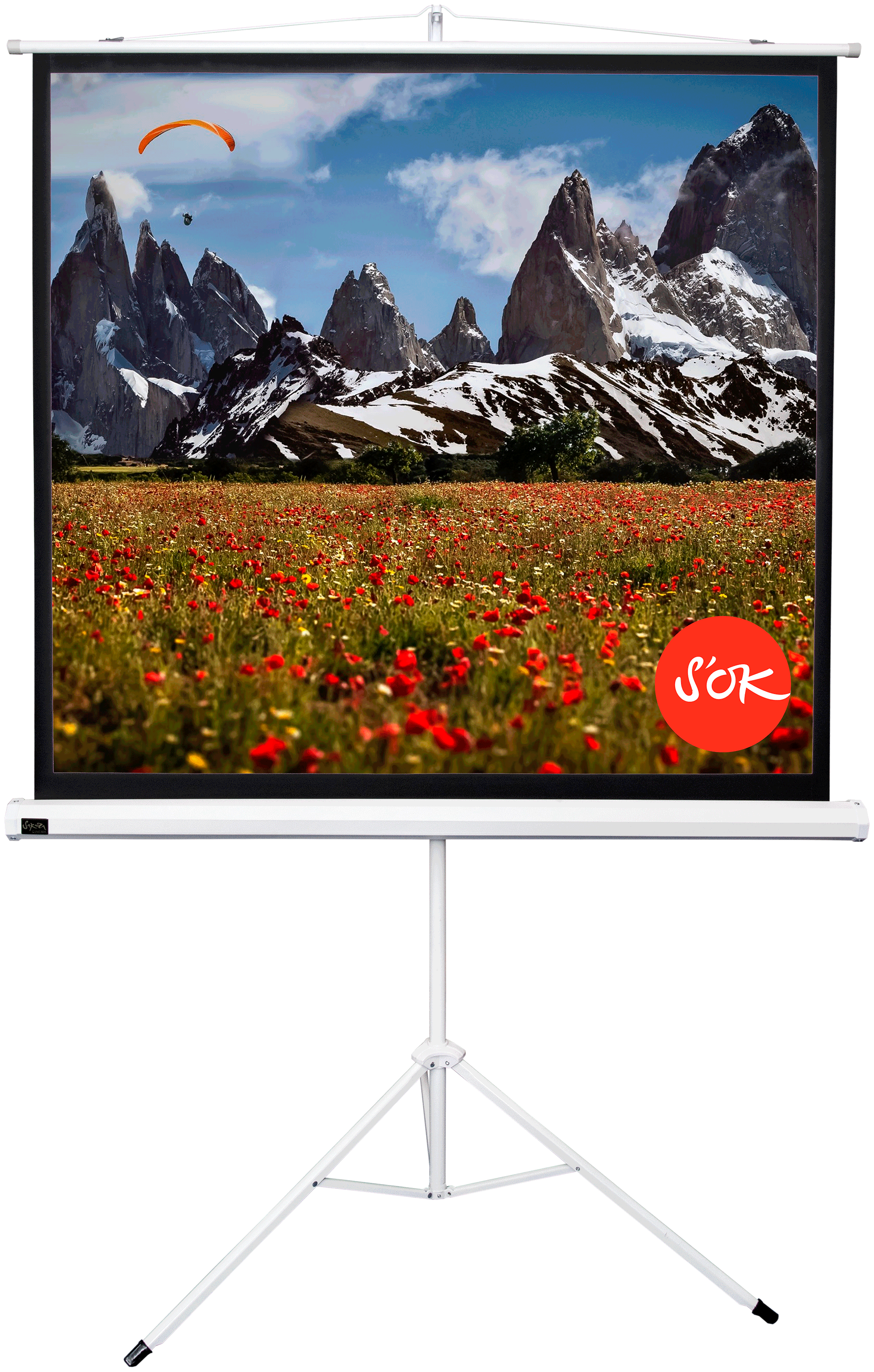 Экран для проектора SOK SCPST-150x150 84 1:1 напольный, на треноге, матовый, белый