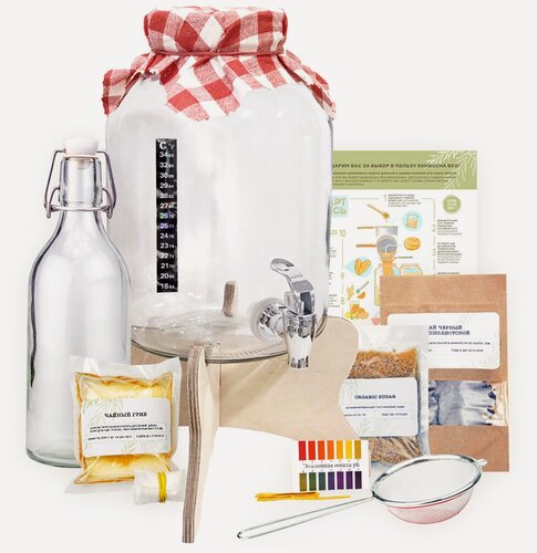 Изображение товара Набор чайный гриб "KOMBUCHA BOX-MAX" с банкой с дозатором