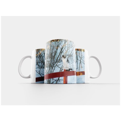 фото Кружка "кошка, забор, зима" 320 мл lotsprints