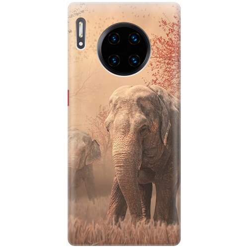 фото Силиконовый чехол на huawei mate 30 pro / хуавей мейт 30 про с принтом "закатный песочный слон" gosso