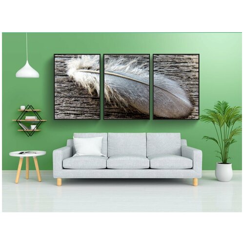 фото Набор модулных постеров для интерьера "весна, птичье перо, голуби весной" 60x90 см. в тубусе, без рамки lotsprints