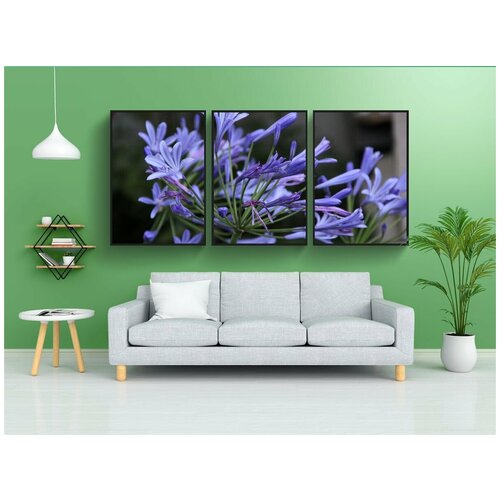 фото Набор модулных постеров для интерьера "декоративная лилия, лили, голубая лилия" 60x90 см. в тубусе, без рамки lotsprints